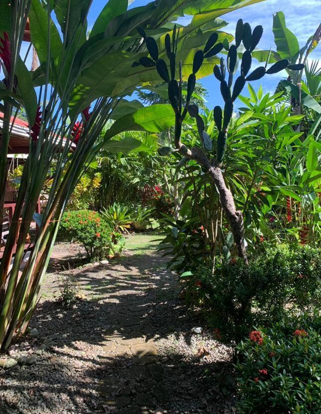 Bed and Breakfast Casa Mambo Cahuita Exterior foto