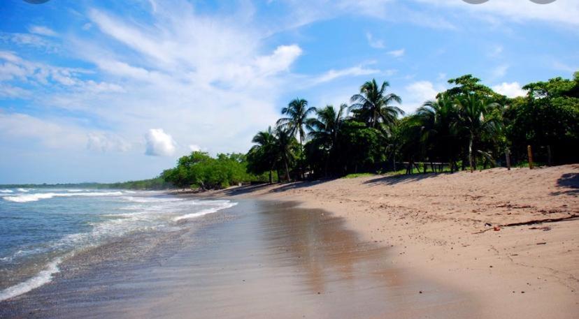 Bed and Breakfast Casa Mambo Cahuita Exterior foto